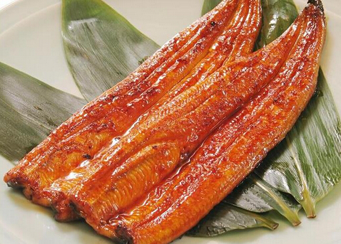 鰻魚多少錢一斤?鰻魚如何挑選