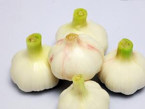 怎么吃大蒜才能有效預(yù)防癌癥?