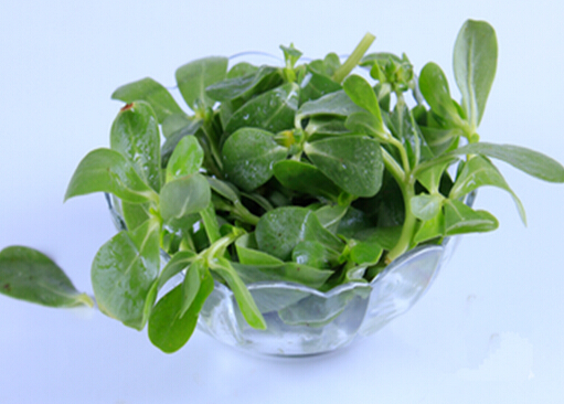 涼拌菜怎么吃才健康?吃涼拌菜最好放抗菌菜