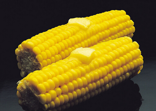 �������РI�B�᣿���׵ĳԷ���PK