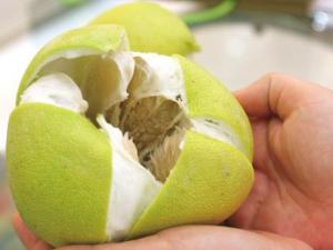 柚子皮怎么做?柚子皮的功效與作用