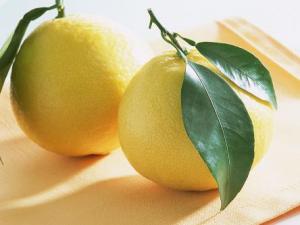 冬天吃柚子好嗎?冬天是吃柚子的大好時節