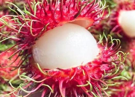 紅毛丹怎么吃?紅毛丹的食用禁忌