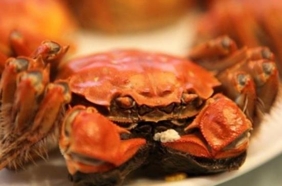 螃蟹的營養價值-螃蟹的食用禁忌