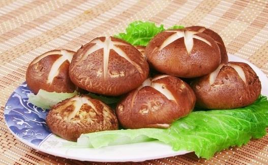 冬天吃什么養胃 吃什么堅果養胃 吃什么肉養胃