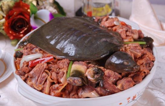 甲魚的血能喝嗎?甲魚血怎么吃更好