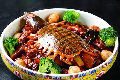 甲魚的血能喝嗎?甲魚血怎么吃更好