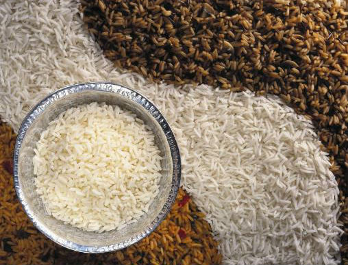 大米在生活中有哪些作用?大米如何搭配營養餐?