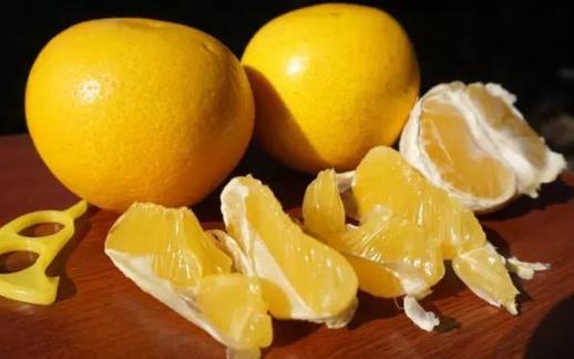 胡柚怎么保存才不爛?葡萄柚和胡柚哪個好吃?