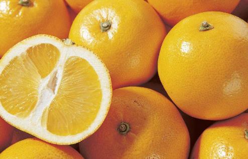 吃胡柚可以減肥嗎?葡萄柚和胡柚的區別有啥區別?