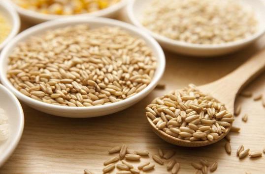 ?牛奶燕麥粥可以減肥嗎?黑燕麥和白燕麥哪個更減肥?