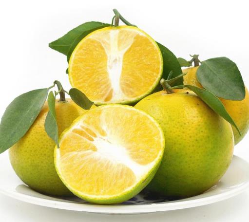 青皇帝柑怎么催熟?皇帝柑吃多了會上火嗎?