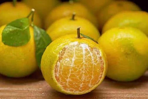 皇帝柑買黃的還是青的?皇帝柑吃多了會變黃嗎?