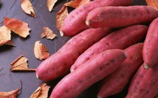 糖尿病患者可以吃紅薯嗎?紅薯有哪些功效?