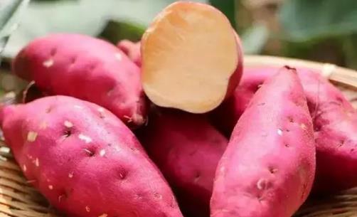 糖尿病患者可以吃紅薯嗎?紅薯有哪些功效?