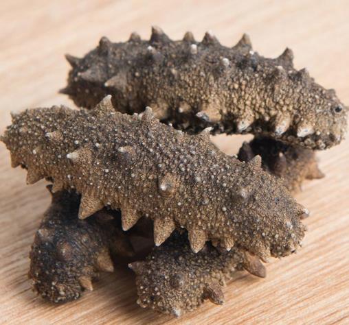 即食海參有保質期嗎?吃即食海參要煮嗎?