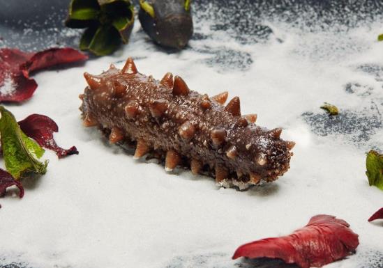 吃即食海參要注意什么事項?即食海參和干海參哪個好?