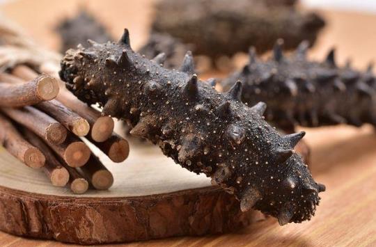 即食海參有保質期嗎?吃即食海參要煮嗎?