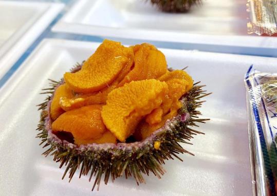 新鮮海膽怎么直接吃?生吃海膽有寄生蟲嗎?