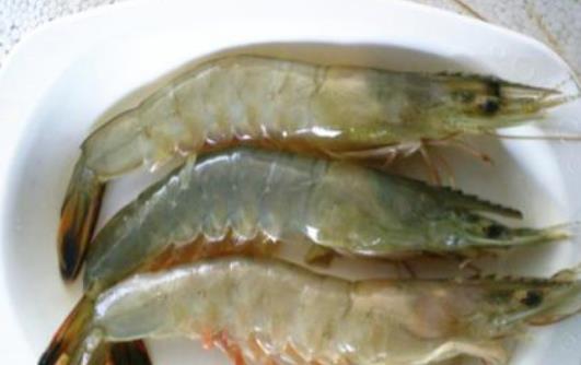 對(duì)蝦是什么蝦?怎么選購對(duì)蝦?