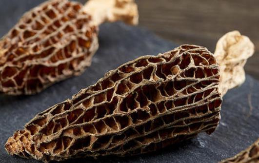 吃羊肚菌過(guò)敏的癥狀是什么?羊肚菌可以和蟲(chóng)草花一起煲湯嗎?