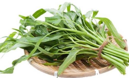 痛風患者可以吃空心菜嗎?坐月子可以吃空心菜嗎?