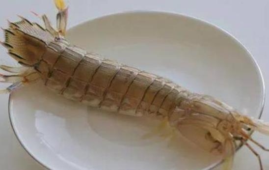 皮皮蝦是公的好吃好還是母的好吃?吃皮皮蝦有哪些好處?