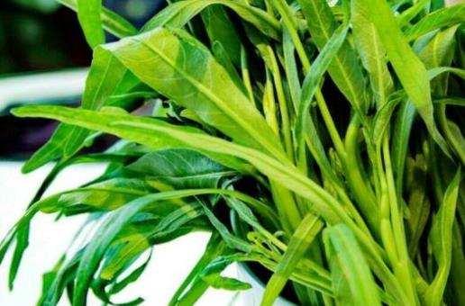 經期可以吃空心菜嗎?孕婦可以吃空心菜嗎?