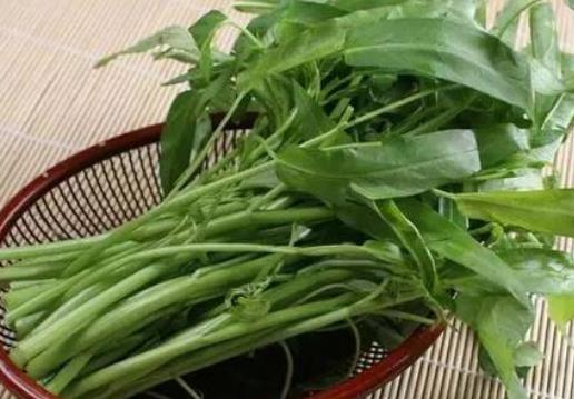 痛風患者可以吃空心菜嗎?坐月子可以吃空心菜嗎?