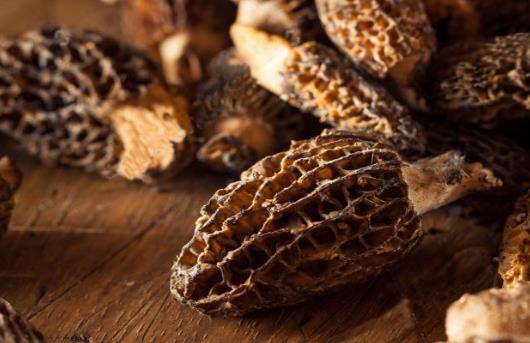 吃羊肚菌過(guò)敏的癥狀是什么?羊肚菌可以和蟲(chóng)草花一起煲湯嗎?