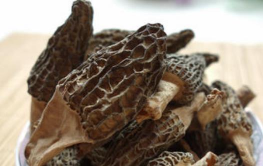 哪些人不宜吃羊肚菌?羊肚菌吃多了會怎么樣?