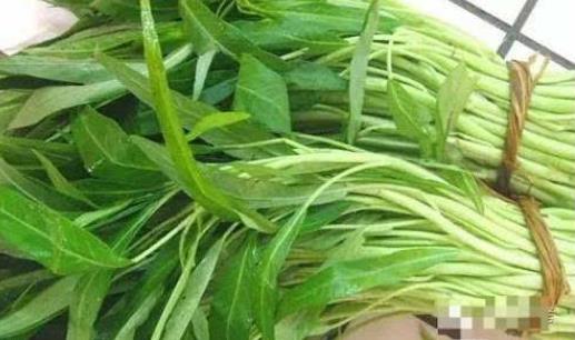 經期可以吃空心菜嗎?孕婦可以吃空心菜嗎?