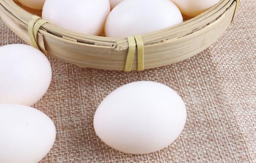 女孩不宜吃鴿子蛋嗎 鴿子蛋什么人不能吃