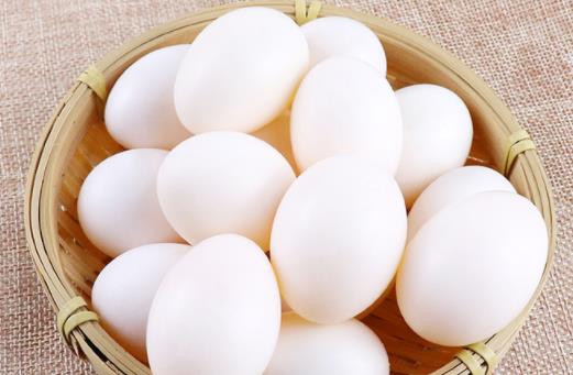 鴿子蛋水煮要煮多久 鴿子蛋一天可以吃幾個