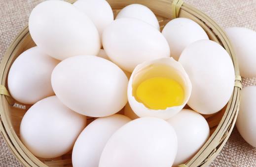 鴿子蛋水煮要煮多久 鴿子蛋一天可以吃幾個