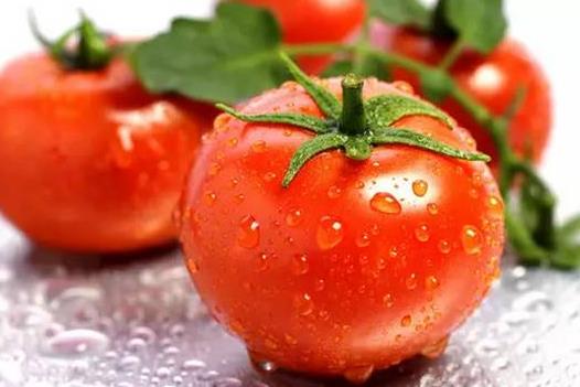 ?西紅柿為什么不能和豬肝一起吃?西紅柿是碳水化合物嗎?