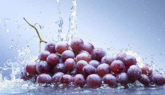 ?血糖高的人可以吃葡萄嗎?怎么選購葡萄?