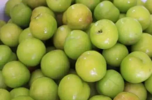 經(jīng)期可以吃李子嗎?李子可以泡酒嗎?