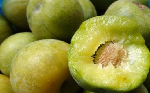 經(jīng)期可以吃李子嗎?李子可以泡酒嗎?