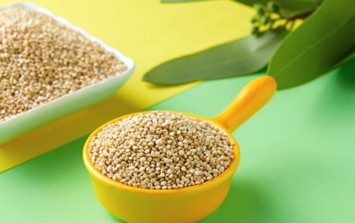 藜麥含有麩質嗎 藜麥泡水發芽可以吃嗎