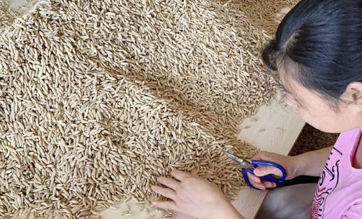 麥冬怎樣吃比較好 麥冬應該怎樣貯存