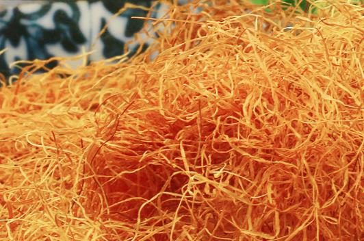 玉米須煮水能去濕氣嗎 什么人不能喝玉米須煮水