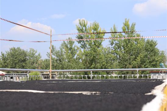 不要再吃黑芝麻丸了,要吃就吃正宗的九蒸九曬黑芝麻丸,兩者區別太大了