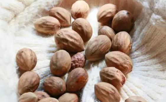 產婦可以吃香榧嗎?香榧表面那層黑的可以吃嗎?