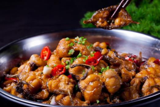 鯰魚的哪些部位不能吃?哪些人不宜吃鯰魚?