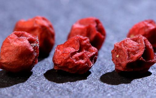 哺乳期可以吃五味子嗎 五味子加鯽魚的功效