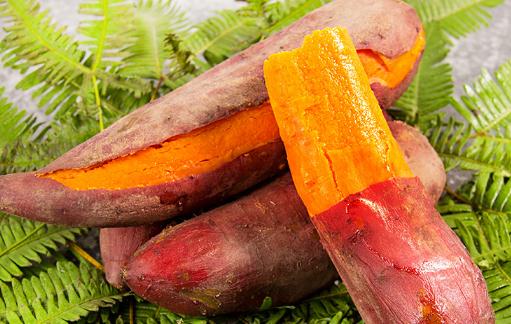 紅薯發芽了還能吃嗎 紅薯怎么保存不發芽