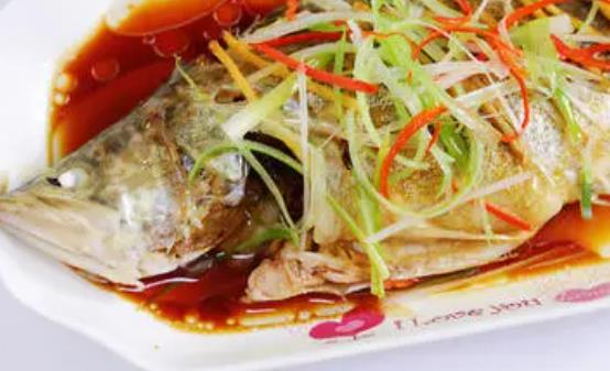 孕婦可以吃桂魚嗎?孕婦吃桂魚有哪些好處?