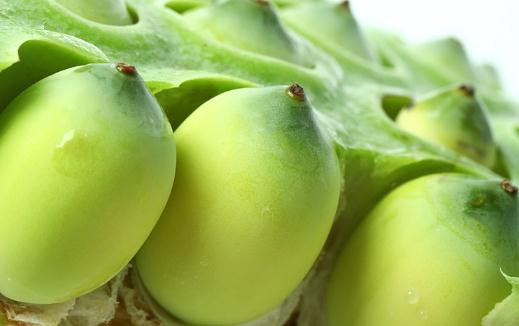 新鮮蓮蓬怎么曬干保存 新鮮蓮蓬一天可以吃幾個(gè)