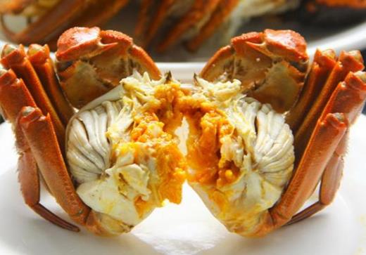 六月黃有點苦是什么原因?吃不完的六月黃怎么養(yǎng)?